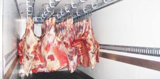 Цены на мясо в Украине вырастут на 10%: производители озвучили причину  - today.ua