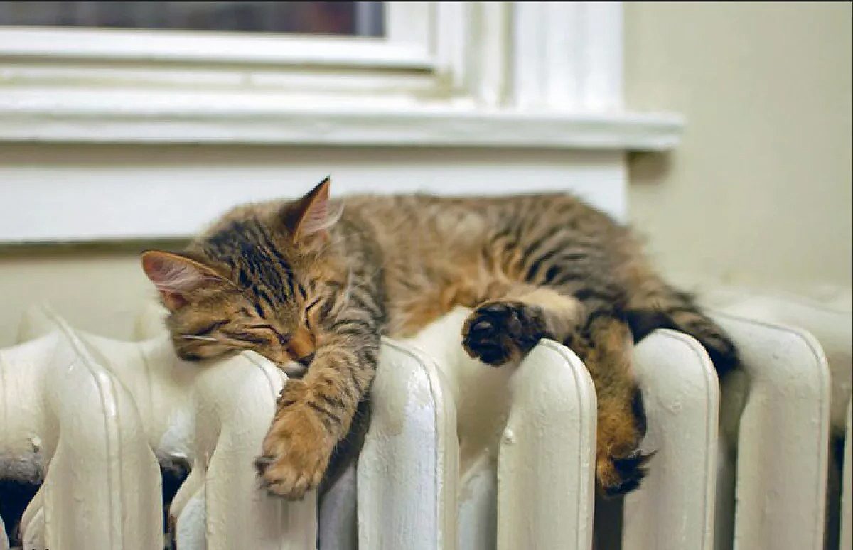 Опалювальний сезон в Україні почався з різнобою цін на газ і розмаїття постачальників