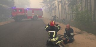 Названы виновники масштабных пожаров в Луганской области: все делалось намеренно - today.ua