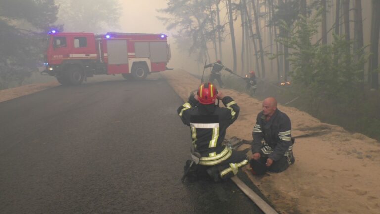 Названі винуватці масштабних пожеж у Луганській області: все робилося навмисно - today.ua