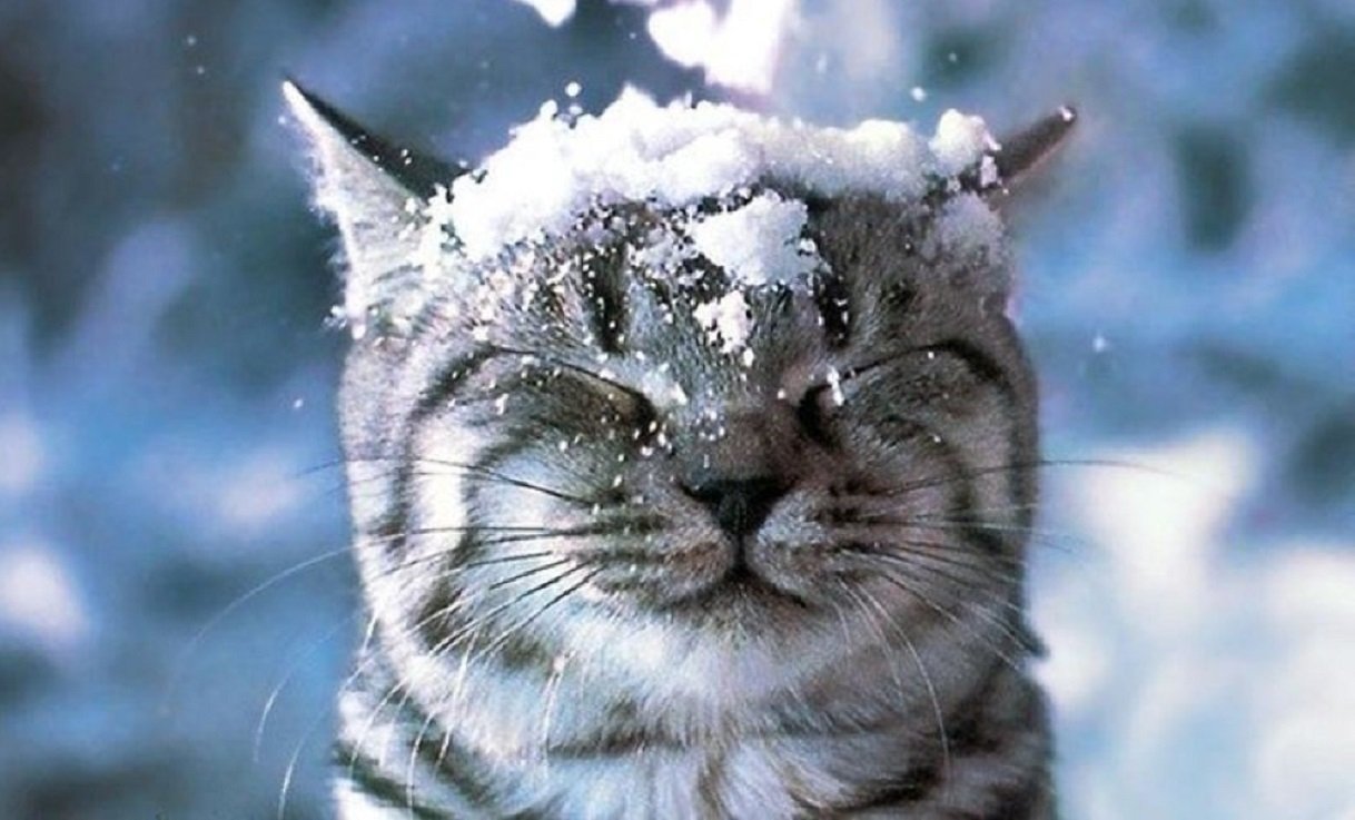 Зима будет очень холодной: прогноз погоды от Леонида Горбаня до февраля 2021 - today.ua