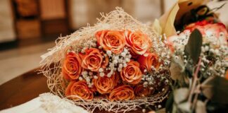 Свято 2 листопада: чому в Артем'єв день потрібно квасити капусту і заборонено гуляти весілля - today.ua