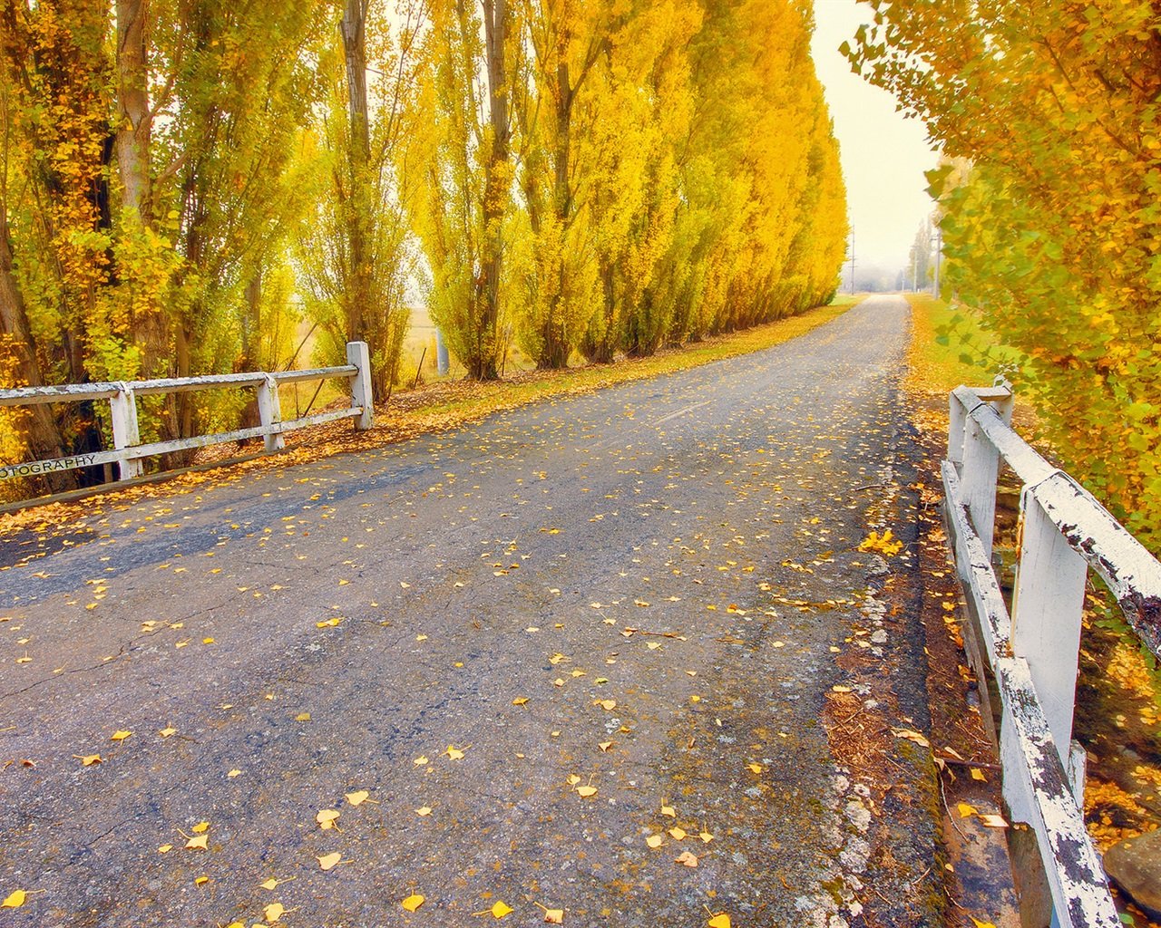 Праздник 3 ноября: что нужно делать в день Илариона, и почему нельзя отправляться в дальний путь