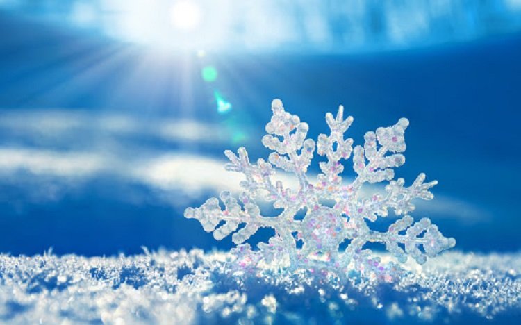 Зима будет очень холодной: прогноз погоды от Леонида Горбаня до февраля 2021