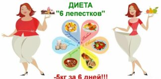 Как похудеть к Новому 2021 году: эффективная диета для красивой фигуры «Шесть лепестков» - today.ua