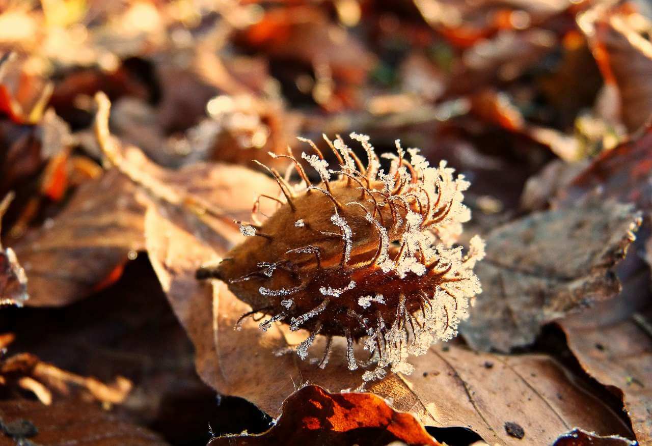 В Україну увірветься антициклон "Валентин": синоптики розповіли, де чекати опадів