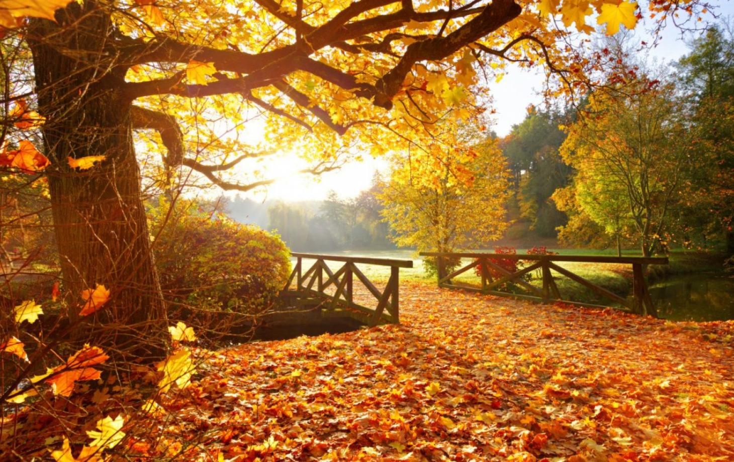 В Украину идет потепление до +11: синоптики назвали дату