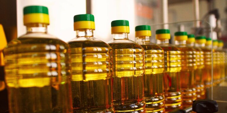 Експерт розповів, як обрати якісну рослинну олію, і де її можна купити - today.ua