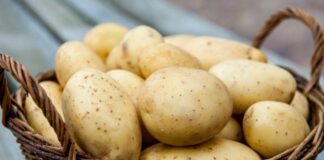 В Украине резко подняли цены на картофель: в чем причина - today.ua