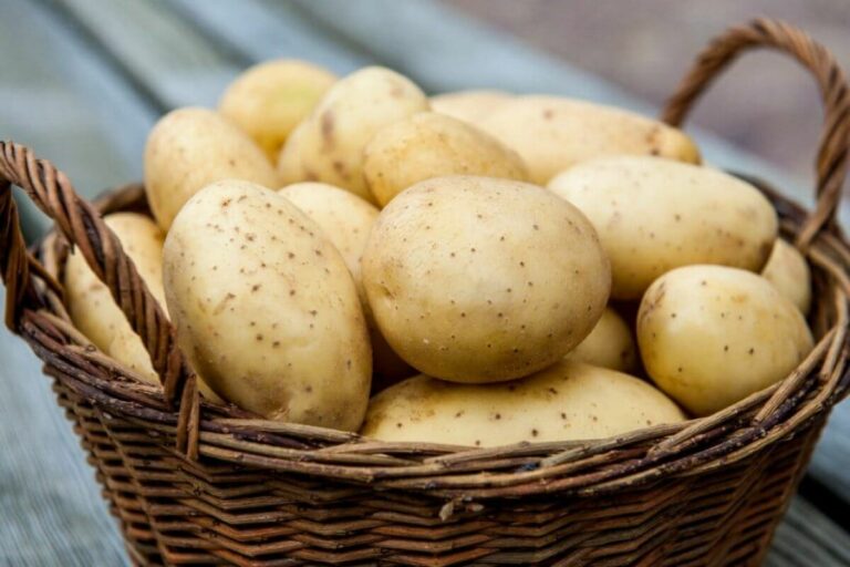 В Україні різко підняли ціни на картоплю: у чому причина - today.ua