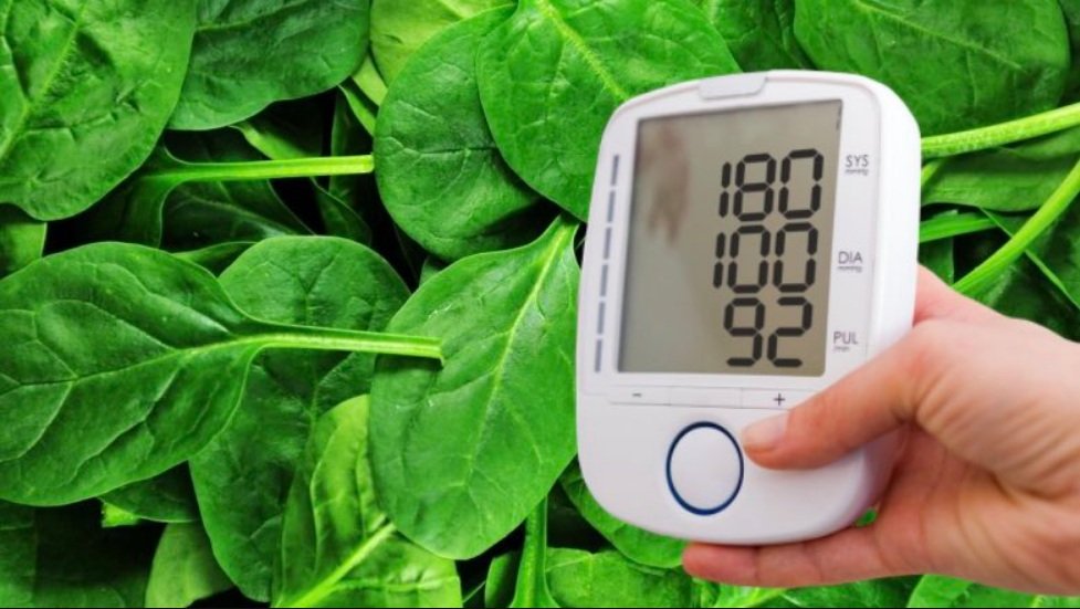 Шпинат способен нормализовать давление и помочь избежать многих болезней