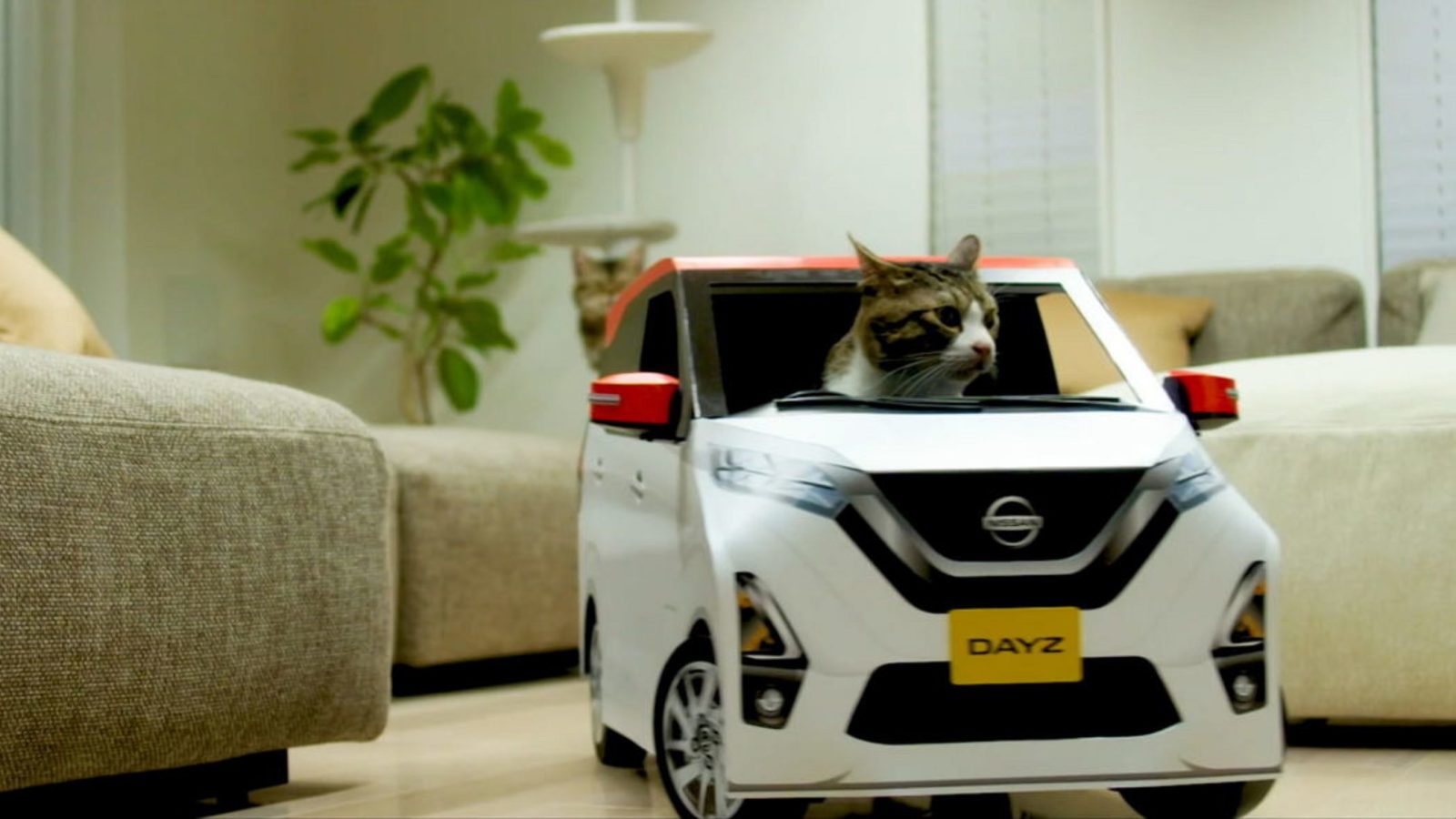 Nissan випустив автомобілі для котів - today.ua