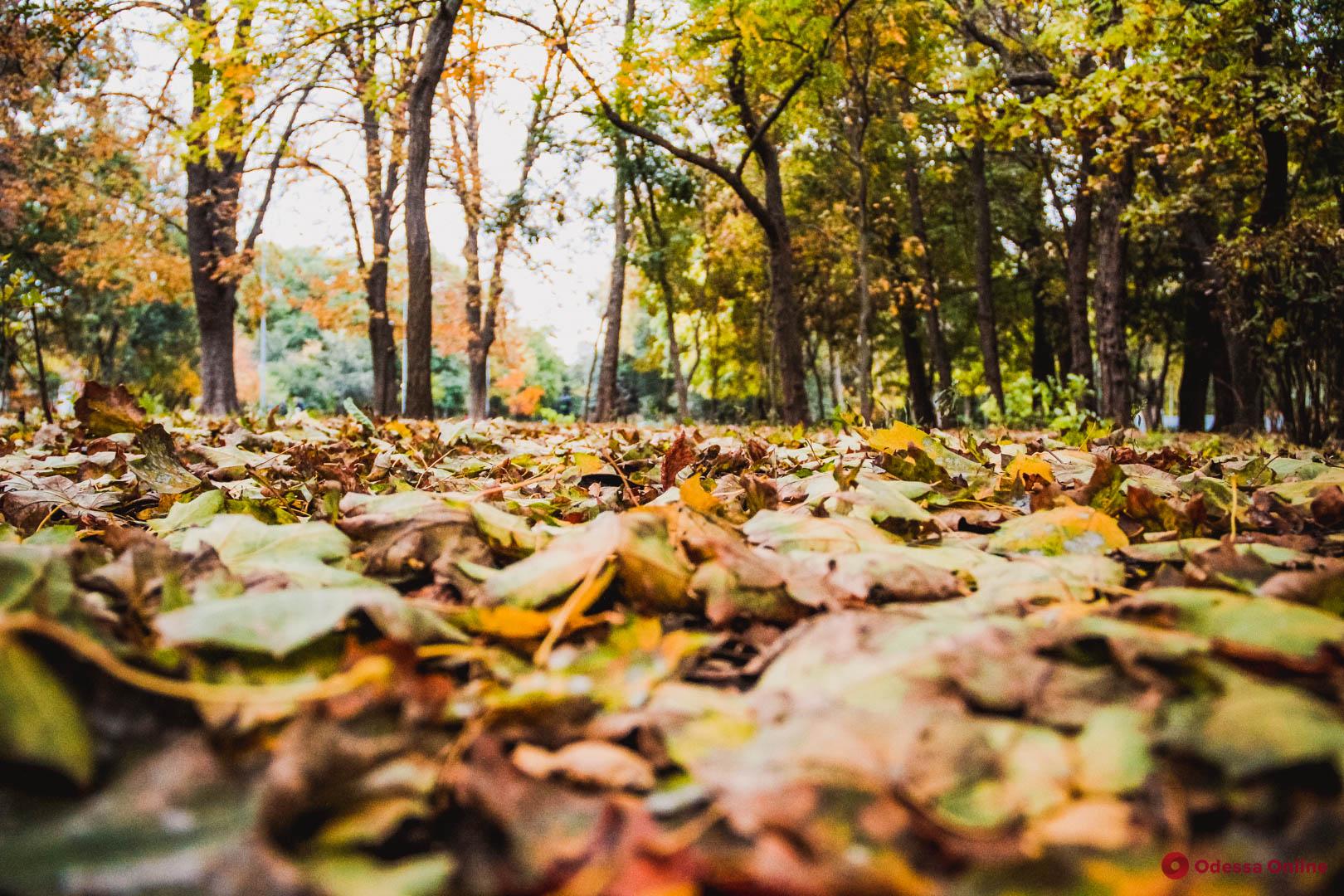 В Україні очікується різкий перепад температур: синоптики розповіли про зміни погоди на початку нового тижня - today.ua