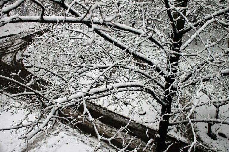 В Україні випало до 8 см снігу: синоптики назвали області, на які обрушилася негода - today.ua