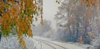 В Украину придет настоящая зима: синоптики рассказали о погоде на ближайшие дни    - today.ua