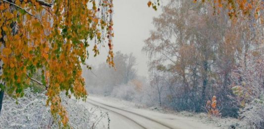 В Украину придет настоящая зима: синоптики рассказали о погоде на ближайшие дни    - today.ua