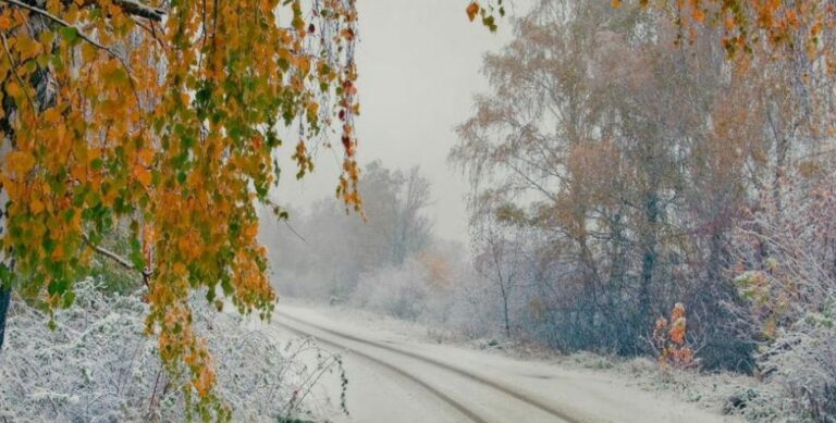В Україну прийде справжня зима: синоптики розповіли про погоду на найближчі дні - today.ua