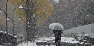 Украину замело снегом: синоптики назвали регионы, где резко ухудшилась погода - today.ua