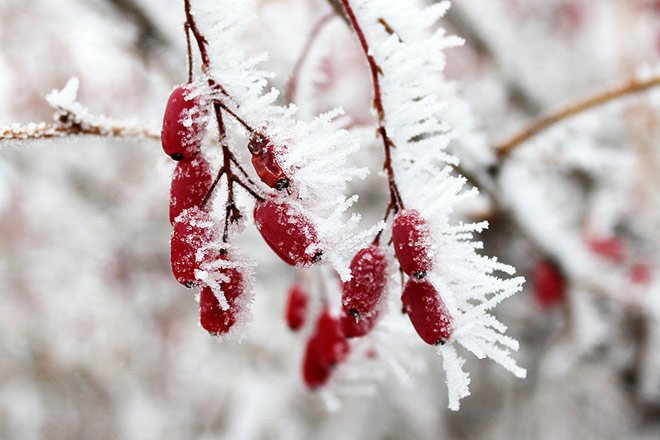 В Україну прийде справжня зима: синоптики розповіли про погоду на найближчі дні