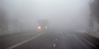 Прогноз погоды до конца недели: антициклон Yadigar принесет густые туманы - today.ua