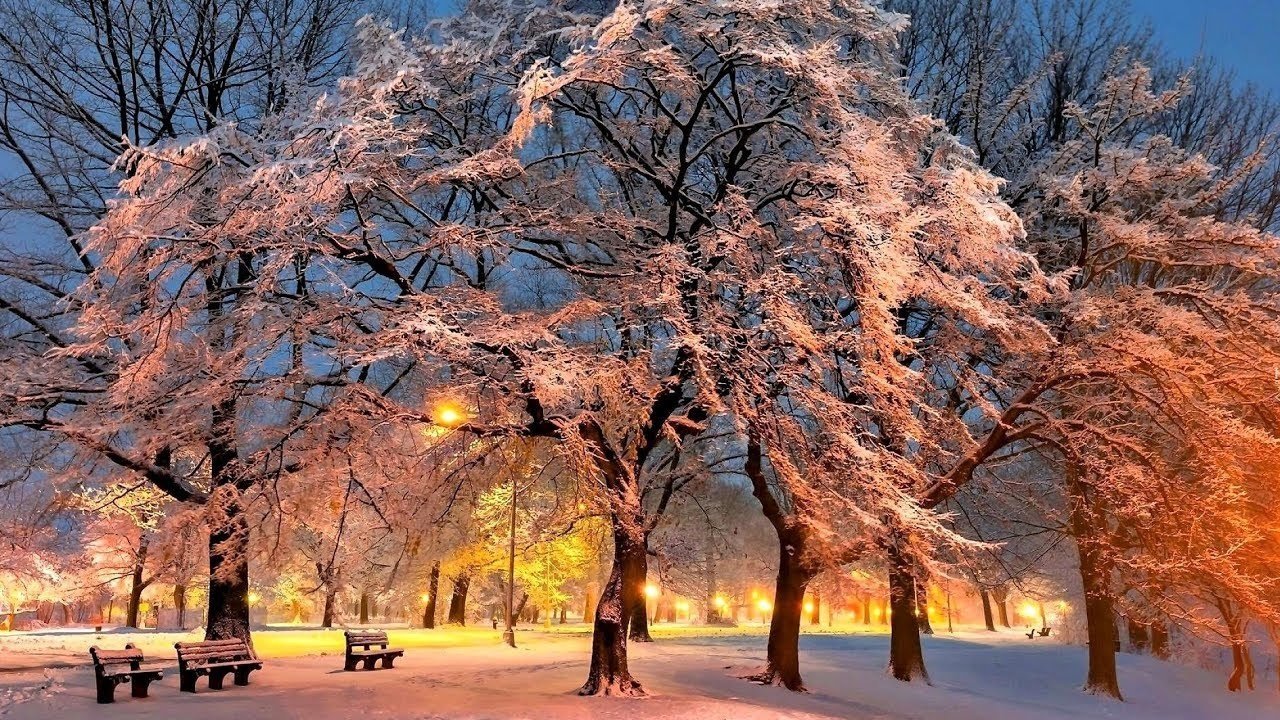 В Украину идут похолодание и морозы: прогноз погоды от Укргидрометцентра - today.ua