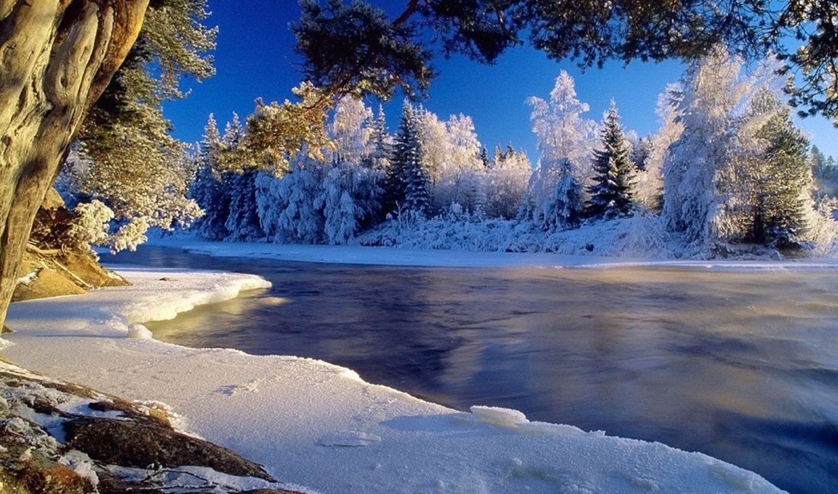В Украине потеплеет надолго: прогноз погоды от Укргидрометцентра - today.ua