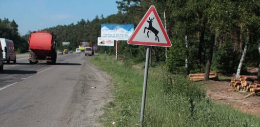 В МВД назвали неизвестную ранее причину частых ДТП в Украине - today.ua