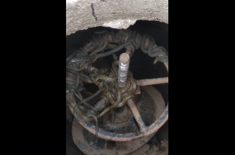 В Одеській області працівників ЖКГ чекала на міському водопроводі страхітлива знахідка - today.ua