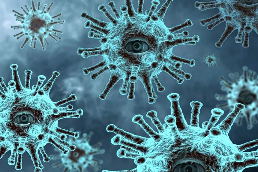 Серед п'яти штамів коронавірусу, що циркулюють в Україні, нового британського виду поки немає, - учені