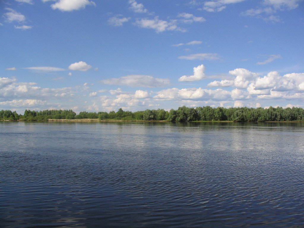 Радіоактивна вода з річки Прип'ять може піти в Київ: у МАГАТЕ б'ють на сполох