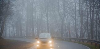 Як треба їздити в туман: поліція дала важливі поради - today.ua