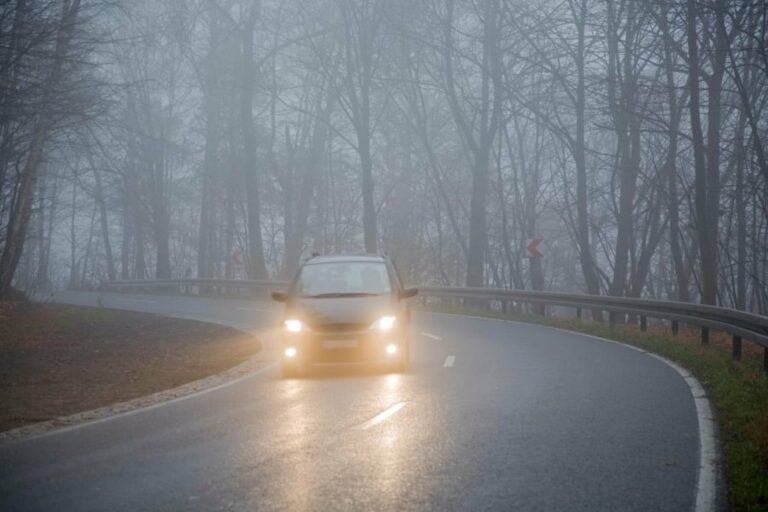 Вождение в тумане: советы, как не попасть в ДТП - today.ua