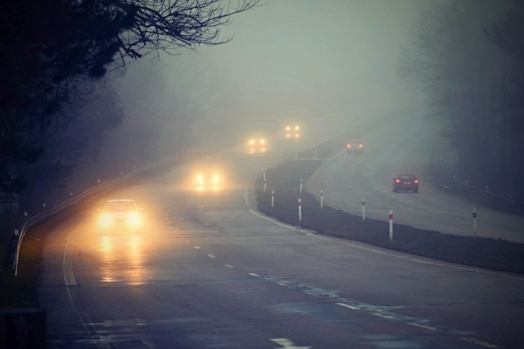 Як треба їздити в туман: поліція дала важливі поради