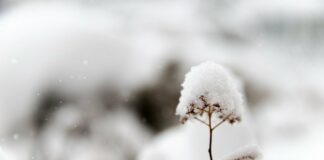 Сильні морози повернуться в Україну: прогноз погоди на найближчий тиждень - today.ua
