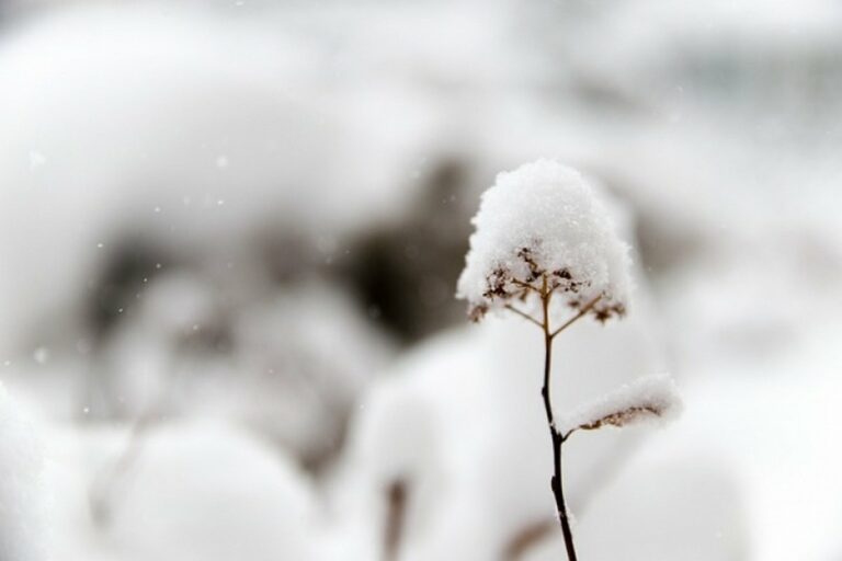В Украину придут морозы до -30 градусов: синоптики дали прогноз на декабрь и январь - today.ua