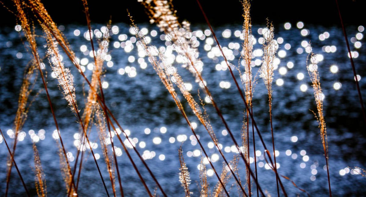 Крещение 19 января: что нельзя и можно делать в день Богоявления