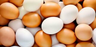 В Украине стремительно дорожают яйца: как изменятся цены в ближайшее время - today.ua
