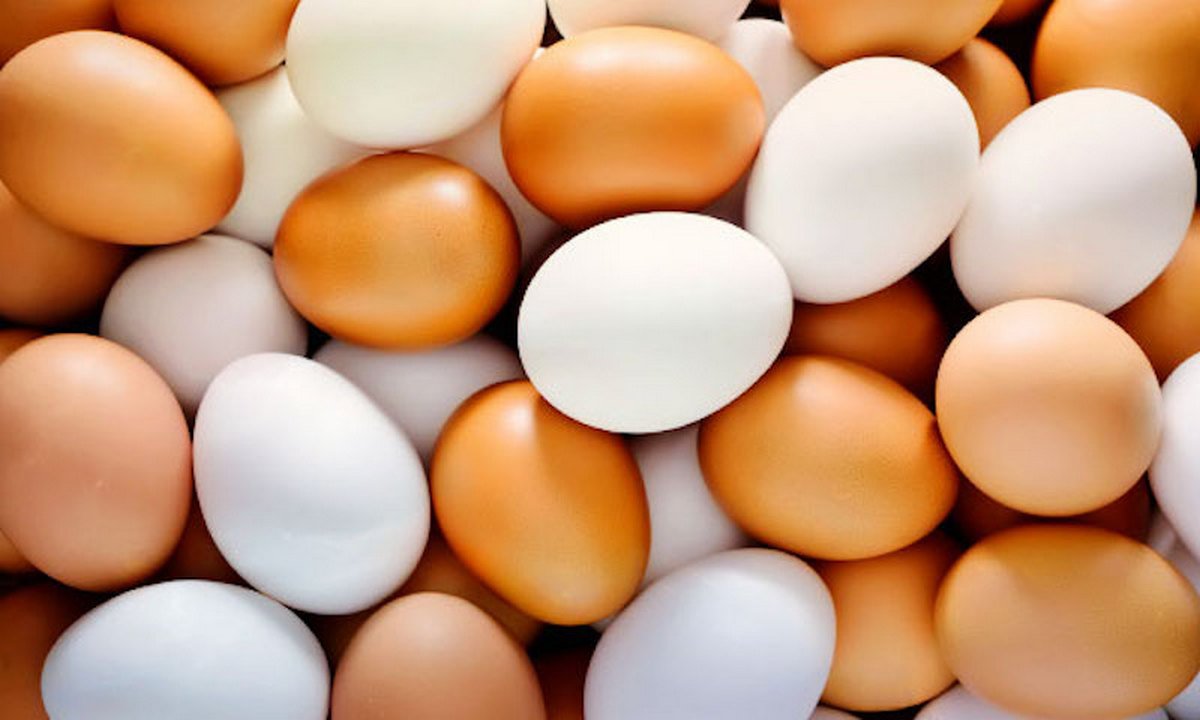 Жодного “расизму“: фахівці розповіли про різницю між коричневими та білими яйцями 