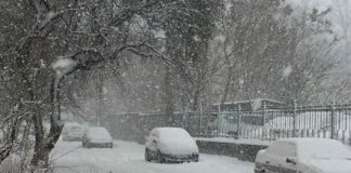 В Україні вирує негода: населені пункти залишилися без електрики, а дороги замітає снігом - today.ua