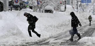 Снігопад у Києві триватиме ще мінімум добу: КМДА попереджає про можливі затори на дорогахі - today.ua