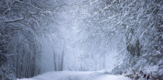 Украину заметет снегом: синоптики обнародовали прогноз погоды - today.ua