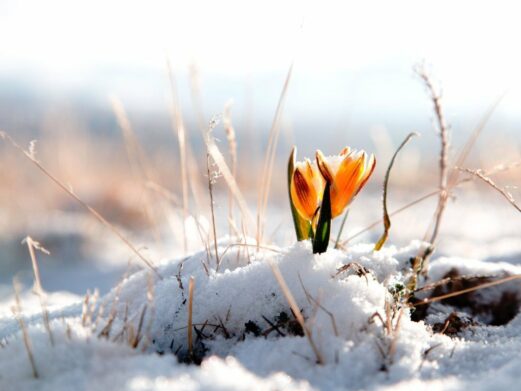 В Украине закончатся снегопады, но начнутся лютые морозы: синоптики рассказали о погоде на Сретение - today.ua