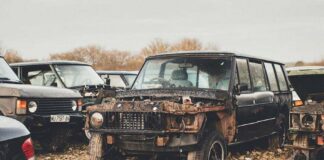 В Англии нашли «кладбище» внедорожников Land Rover - today.ua