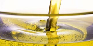 Подсолнечное масло: Украина собирается запретить экспорт семян подсолнечника в Европу - today.ua