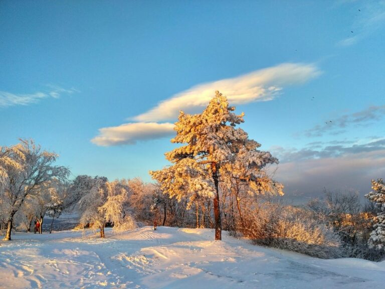 В Украину движется потепление: синоптики рассказали, сколько продлятся снегопады, и когда ждать плюсовой температуры - today.ua