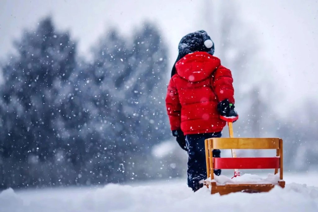Україну накриє сніговою бурею: синоптики попередили про різке похолодання у середині грудня