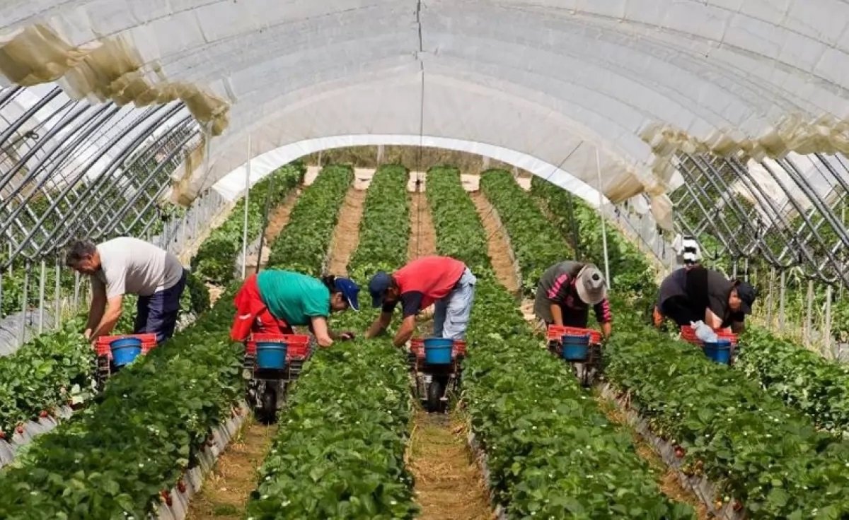 Украинских заробитчан заставят заплатить 19,5% подоходного налога