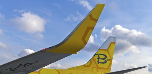 Новый украинский лоукостер Bees Airline объявил список маршрутов - today.ua