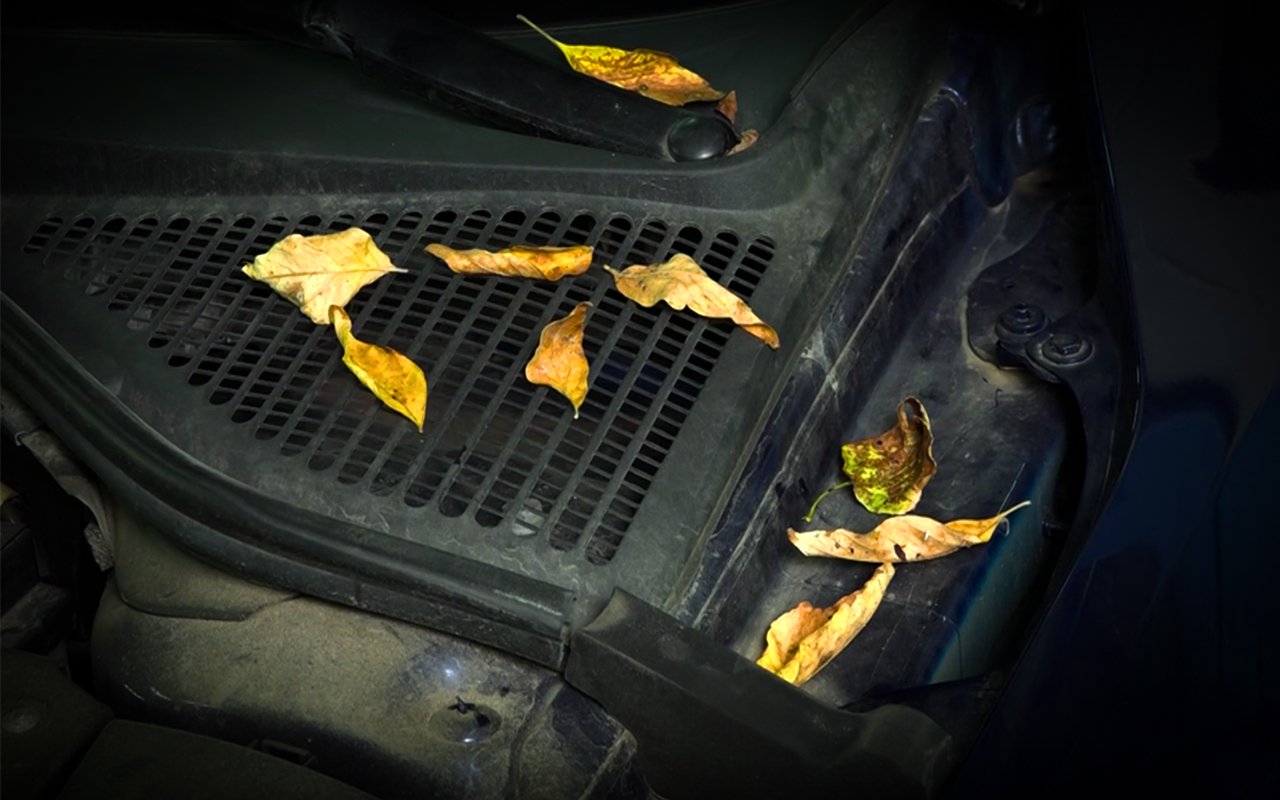 Лайфхак: как просто и недорого защитить кузов от грязи