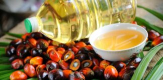 Как определить вредное растительное масло: поможет один препарат из домашней аптечки - today.ua